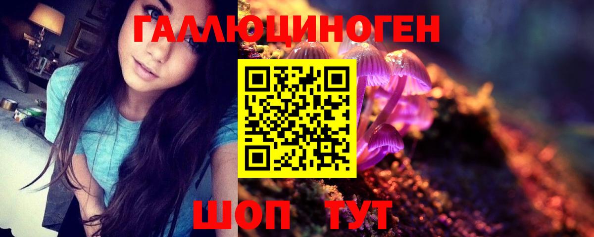 Галлюциногенные грибы Psilocybine cubensis  Вход с VPN  Артём  Галлюциногенные грибы Cubensis 